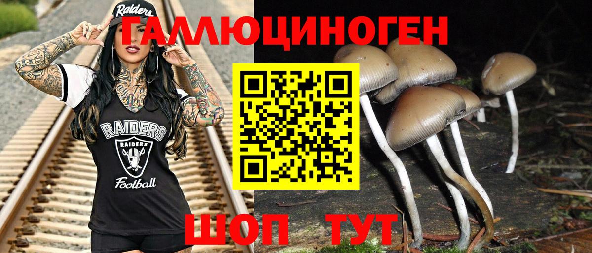 купить  сайты  Псилоцибиновые грибы прущие грибы  Вичуга  Вход с VPN  Галлюциногенные грибы Cubensis 